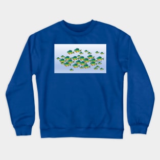 Bluegill school Crewneck Sweatshirt